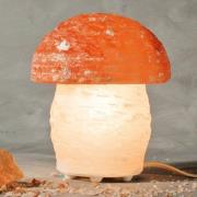 Saltlampe Pilz