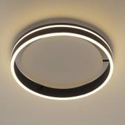 Paul Neuhaus Q-VITO LED-taklampe 40 cm antracitt, antracit