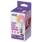 WiZ A60 LED-pære matt WiFi E27 8,5W RGBW