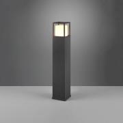 LED-gatelampe Witham, 80 cm høy, antrasitt, CCT, IP54