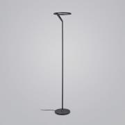 Helestra Elara LED-gulvlampe down dimbar svart