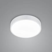 LED-taklampe Waco, CCT, Ø 31 cm, matt hvit