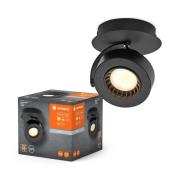 LEDVANCE Venus LED-veggspotlight, 3000 K, bryter, svart