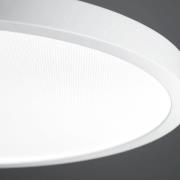 LED-pendellampe VIVAA 2.0 Ø45cm kabel hvit 4000K