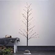 LED-dekorativt tre Tobby Tree IP44 brun høyde 150 cm