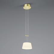 BANKAMP Conus LED-pendel, 1-lampe, messing