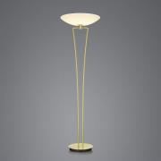 BANKAMP Lady LED-gulvlampe, ZigBee, messing