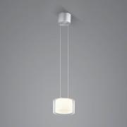 BANKAMP Grand Clear LED pendellampe, 1fl, Ø 20 cm