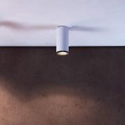 LED-montert downlight Lucea 10 W hvit