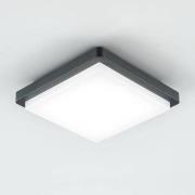 EVN LED utendørs taklampe Tectum, 23x23 cm, antrasitt, 150°, 150