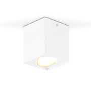 EVN Kardanus LED-taklampe, 9x9cm, hvit