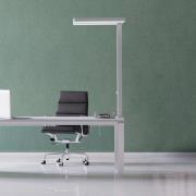 LED-bordlampe MAULjaval, hvit, 120 cm, dimbar, klemmesokkel