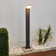 Lucande Timm LED-veilampe, 100 cm, antrasitt, metall, IP54