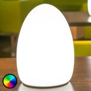 Egg - en app-styrt dekorativ lampe med oppladbart batteri