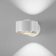 EGG LED-vegglampe Clippo Optic, hvit/gull, DTW, opp/ned