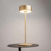 Maytoni oppladbar LED-bordlampe AI Collaboration, aluminium, gull