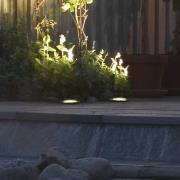 Rund GROUND SPOT bakkespot