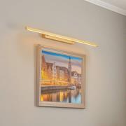 Quitani Talon LED-bildelampe messing eloxal