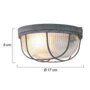 Taklampe Lisanne, grå, Ø 17 cm, metall, glass, E27
