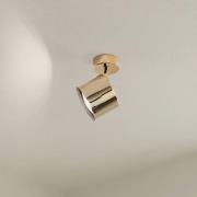 Downlight Chloe, svingbar, 1 lyskilde, stål messingfarget