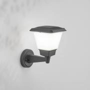 Utendørs vegglampe Lena, mørkegrå, metall, E27, 27 cm, IP54