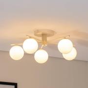 Prato taklampe, krem, glass, 5 lyskilder