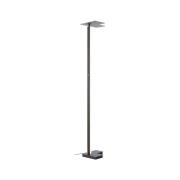 LED-gulvlampe Mora, antrasitt, høyde 178 cm, metall