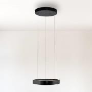 Paul Neuhaus LED-pendellampe Q-Stretto, svart, 40,8 cm