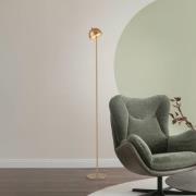 Schöner Wohnen LED-batteridrevet gulvlampe Bellies, gullfarget, IP54