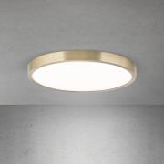 LED-taklampe Disc, antikk messingfarget, Ø 28 cm, CCT
