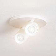 Arcchio spotlight Brinja, hvit, rund, Ø 7 cm, 2 lyskilder, GU10