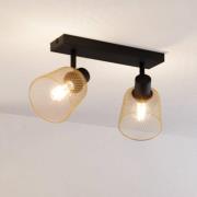 EGLO Coslada takspotlight, 2 lyskilder