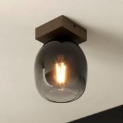 EGLO Filago taklampe av røykglass 1 lyskilde
