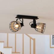 Takspot Anwick 1, stål/spanskrør, 2 lyskilder