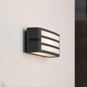 Utendørs vegglampe Camarda med stag, antrasitt