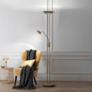 LED-gulvlampe Tallri, greige Høyde 180 cm 2 lyskilder CCT Touchdim