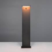 LED-veilampe Ravi, antrasitt, høyde 100 cm, sensor, IP54