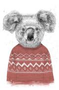 PelcasaPoster Winter Koala (Red)HvitPostereFra Homeroom