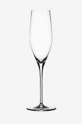 SpiegelauChampagneglass Authentis 19 cl, 4-pkTransparentVinglassFra Ho...