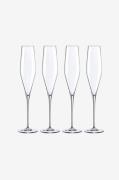 Zelected by HouzeChampagneglass Grace Flute 4-pTransparentVinglassFra ...