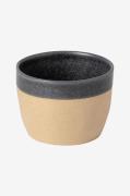 COSTA NOVALattemugg ArenitoGråKopper & krusFra Homeroom