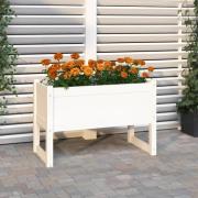 vidaXL Plantekasse hvit 78x40x52 cm heltre furu