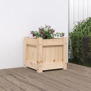 vidaXL Plantekasse 31x31x31 cm heltre furu