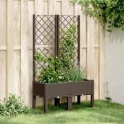 vidaXL Plantekasse med espalier brun 80x40x142 cm PP