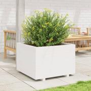 vidaXL Plantekasse hvit 70x70x49,5 cm heltre furu