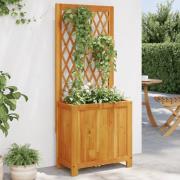 vidaXL Plantekasse med espalier 55x29,5x132 cm heltre akasie