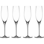 Spiegelau Authentis Champagneglass 19 cl 4pack