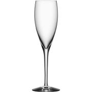 Orrefors More Champagneglass 18 cl 4-pack