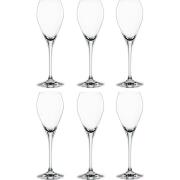 Spiegelau Special Party Champagneglass 16 cl 6-pk