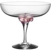 Kosta Boda Sugar Dandy Coupe Glass 32 cl Rosa